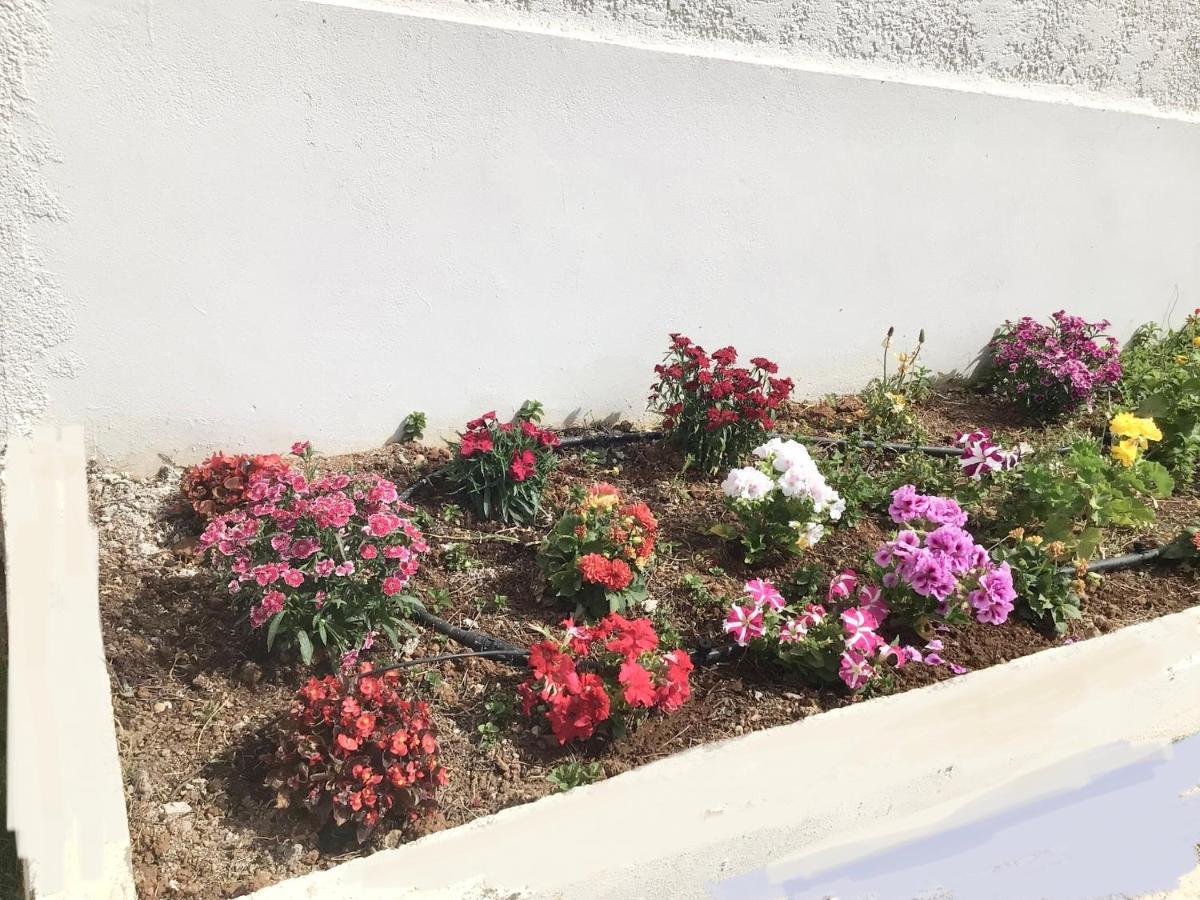 Arokaria Holiday Houses بلاتانيز المظهر الخارجي الصورة