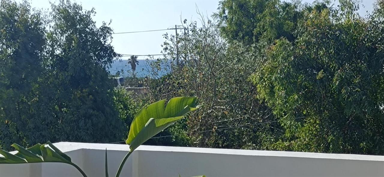 Arokaria Holiday Houses بلاتانيز الغرفة الصورة