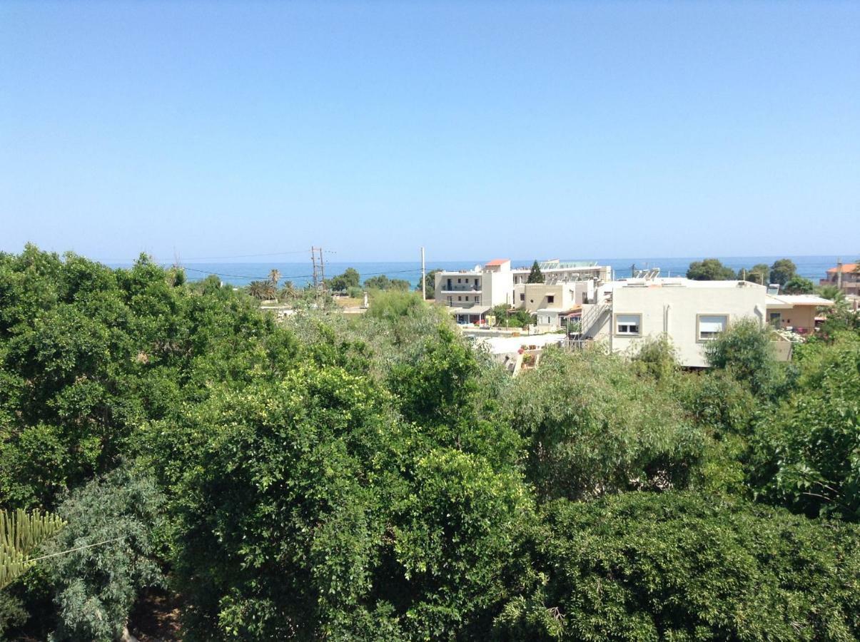 Arokaria Holiday Houses بلاتانيز المظهر الخارجي الصورة